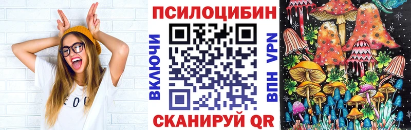 МЕГА   Кизилюрт  Галлюциногенные грибы MAGIC MUSHROOMS 