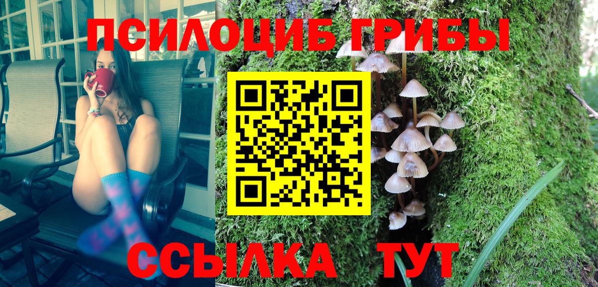 Кизилюрт  Галлюциногенные грибы ЛСД  Вход с VPN 
