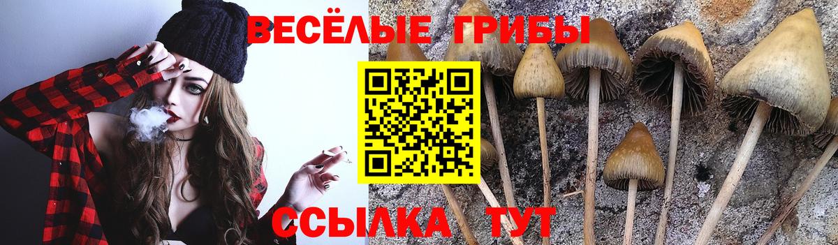 Псилоцибиновые грибы мицелий Кизилюрт